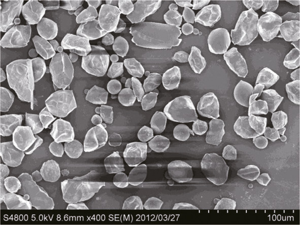 Polystyrol Partikel  Platin Beschichtung